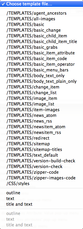 Text Export View: Template pop-up menu